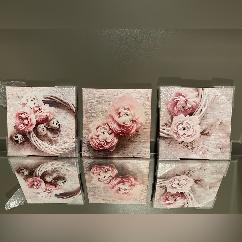 🤍NWT🤍 3-Piece Pink Flower Canvas Wall Art